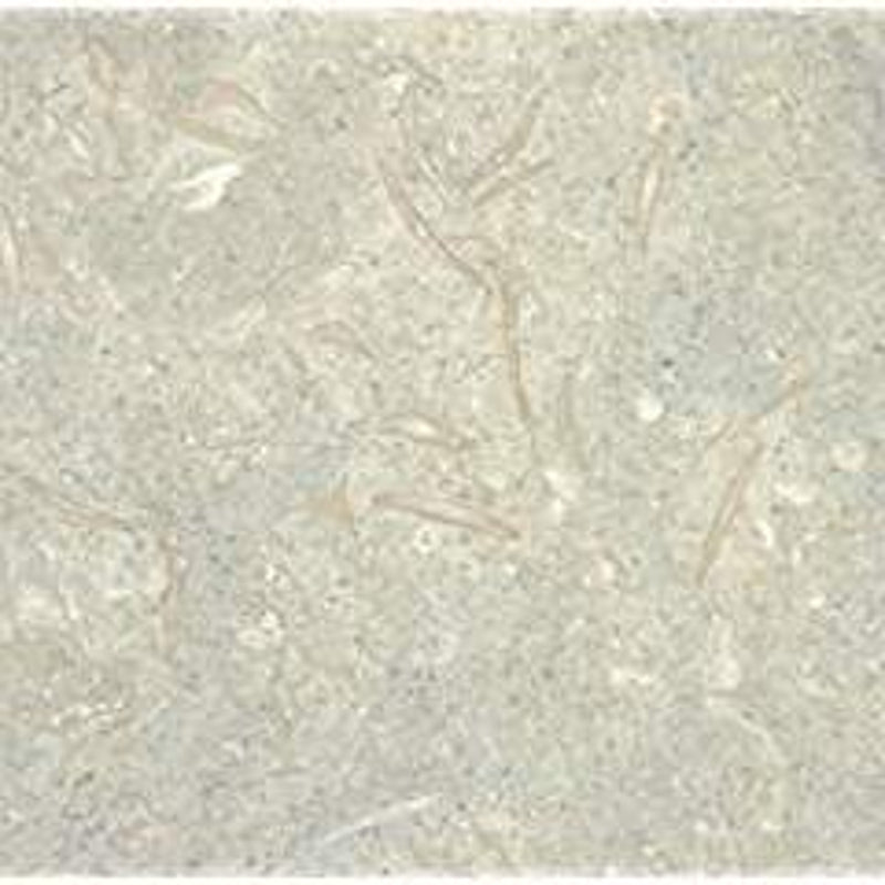 Montego Sela Sea Grass 12 X 12 Honed Limestone Tile (10 Sq. Ft./Case) - Tilefornia