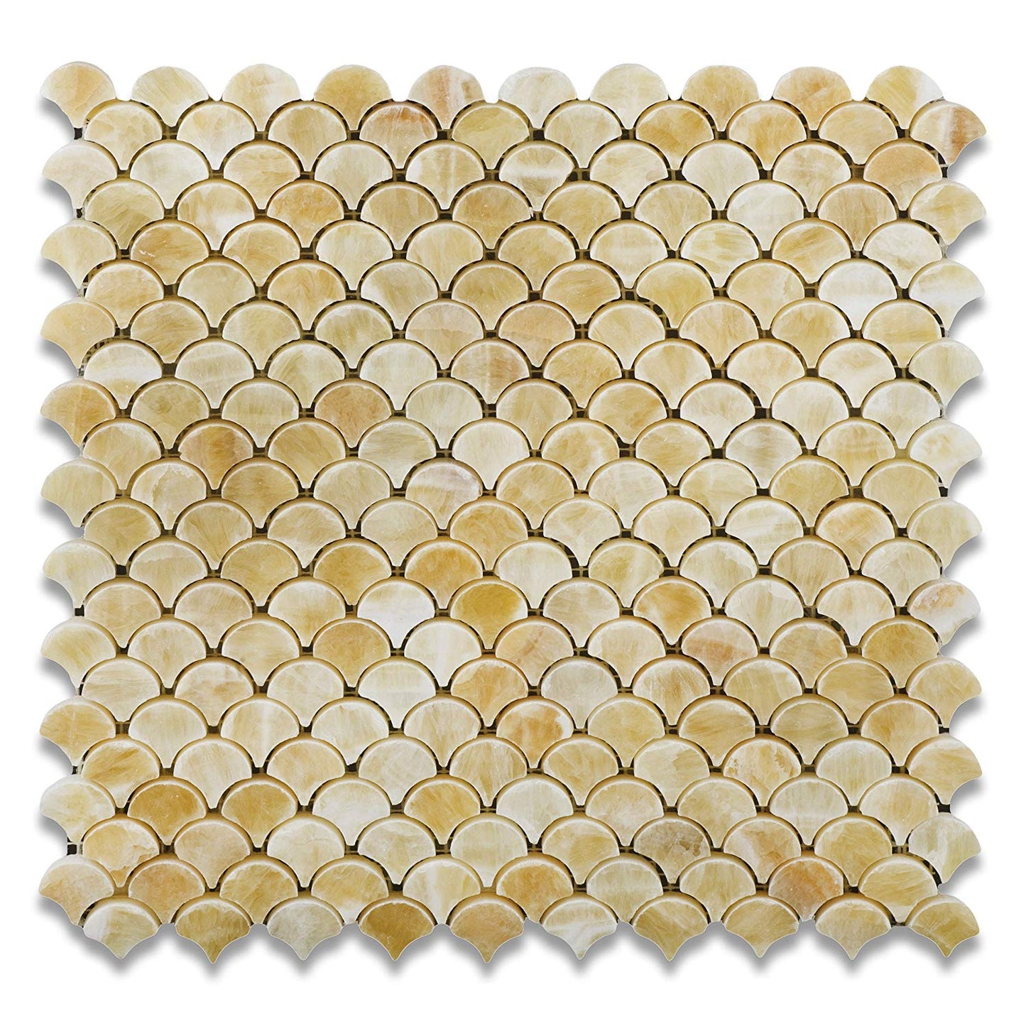 Honey Onyx Fan Mosaic Tile, Polished - 6" X 6" Sample - Tilefornia