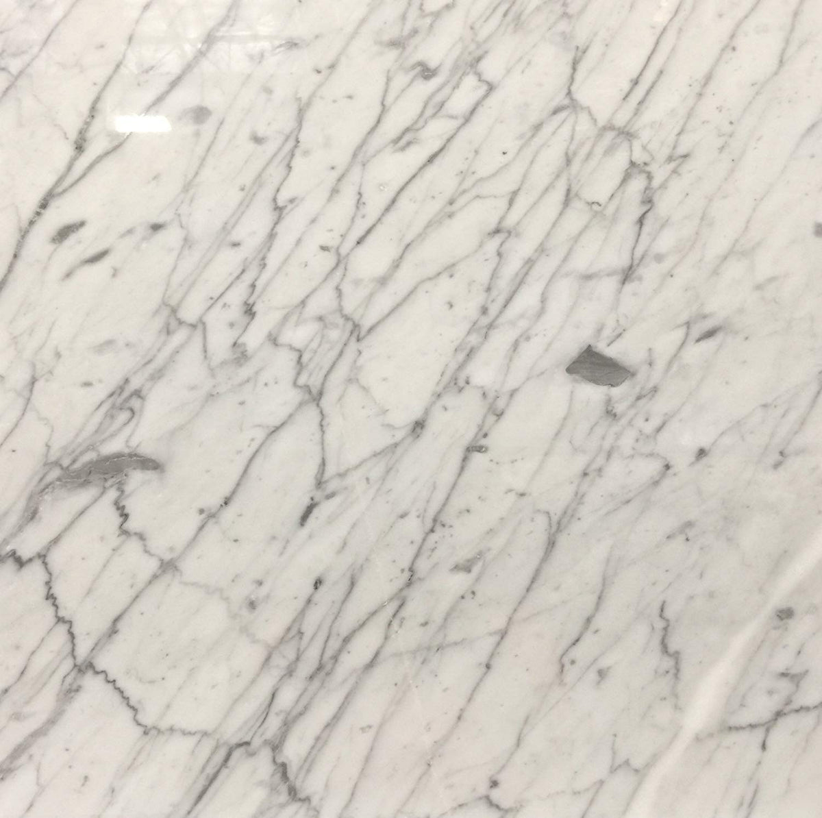 White Carrara Marble Tile 12x12, Polished