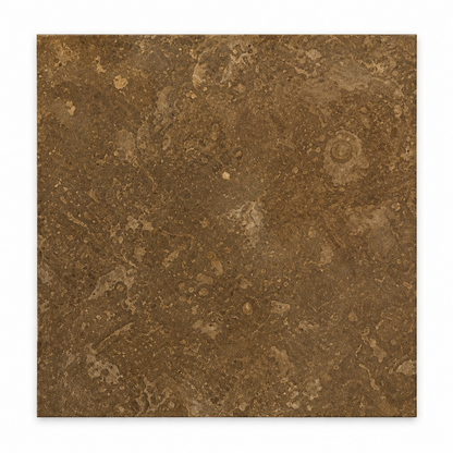 Brown Noce Travertine Tile 6x6, Filled & Honed - white background