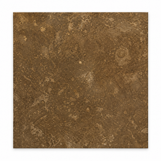 Brown Noce Travertine Tile 6x6, Filled & Honed - white background