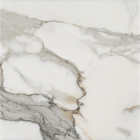 Tilefornia Calacatta Gold 18"X18" Polished Marble Field Tile - Tilefornia