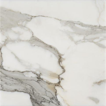 Tilefornia Calacatta Gold 18"X18" Polished Marble Field Tile - Tilefornia