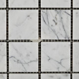 Tilefornia Italian Carrara White Marble 2x2 Mosaic Polished/Honed - Tilefornia