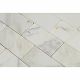 Tilefornia Calacatta Gold 2" X 4" Straight Edge Mosaic  Subway Tile - Tilefornia