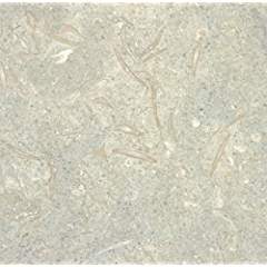 Montego Sela Sea Grass 12 X 12 Honed Limestone Tile (10 Sq. Ft./Case) - Tilefornia