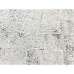 Italian Staturietto Marble 12" X 24" Field Tile, Polished - A26 (Lot of 132 pcs. (264 sq. ft.) - Tilefornia