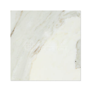 Calacatta Gold (Italian Calcutta) Marble 18 X 18 Field Tile (Lot of 100 pcs. (225 sq. ft.), Polished) - Tilefornia