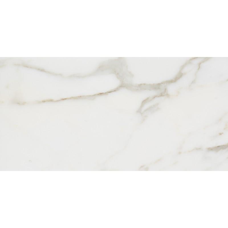 Tilefornia Calacatta Gold 6"X12" Field Subway Tile Polished & Honed - Tilefornia