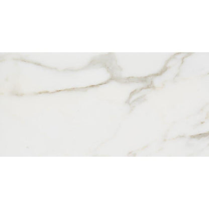 Tilefornia Calacatta Gold 6"X12" Field Subway Tile Polished & Honed - Tilefornia