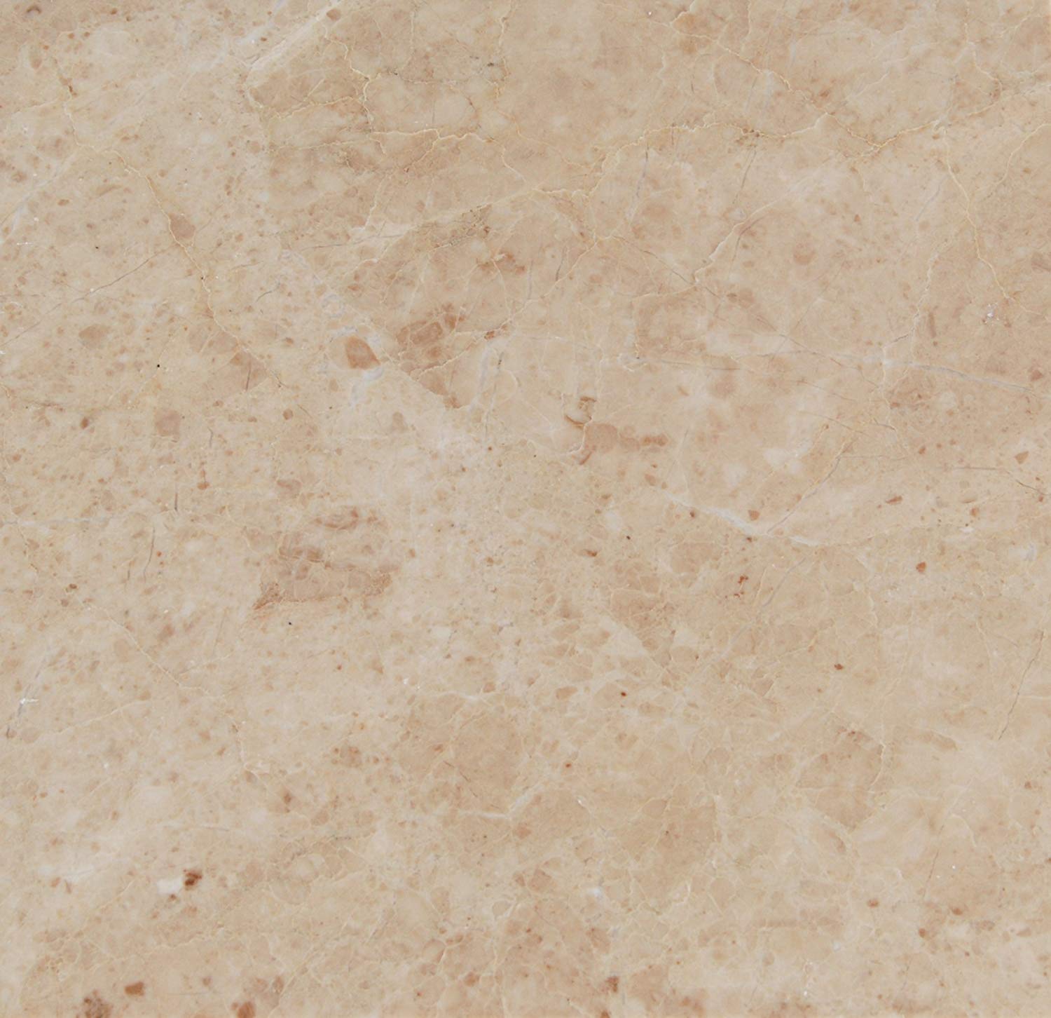 Cappuccino Marble 12 X 12 Field Tile, Premium Quality, Polished (Lot of 5 pieces (5 Sq. Ft.)) - Tilefornia