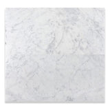 Tilefornia Italian Carrara White 12" X 12" Straight Edged Field Tile Polished/Honed - Tilefornia