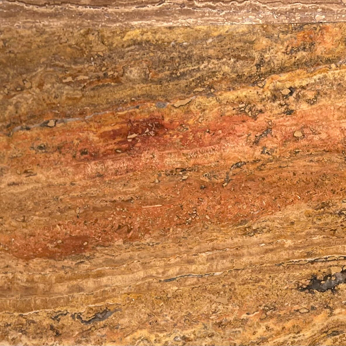 Scabos 12 X 12 Travertine POLISHED Tile - Lot of 100 sq. ft. - Tilefornia