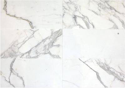 Tilefornia Calacatta Gold Marble 12"X24" Honed/Polished Field Tile - Tilefornia