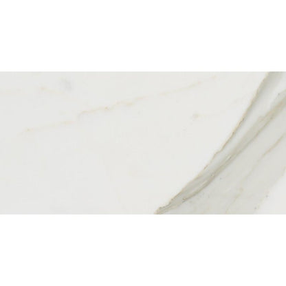 Tilefornia Calacatta Gold 6"X12" Field Subway Tile Polished & Honed - Tilefornia