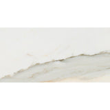 Tilefornia Calacatta Gold Marble 3"X6" Subway Field Tile Polished & Honed - Tilefornia